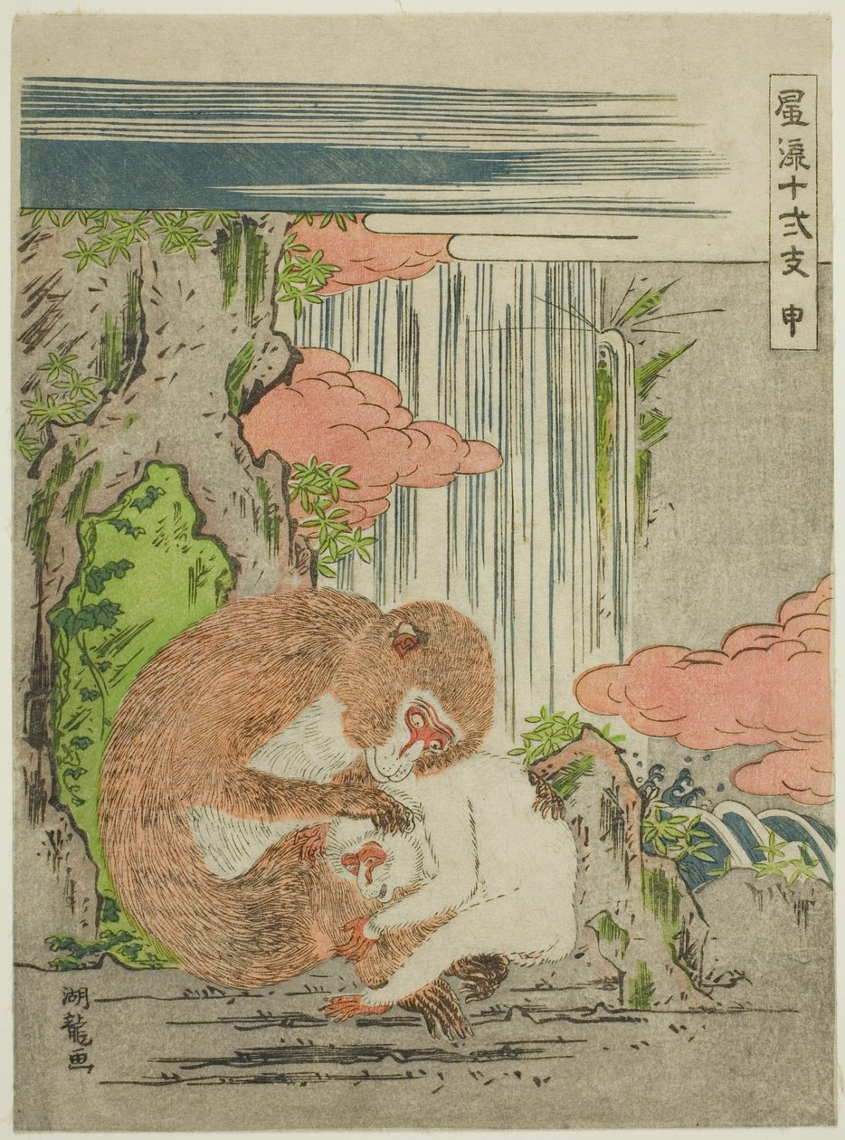 Opice (Saru), ze série "Módních dvanáct znamení zvěrokruhu (Furyu juni shi)" od Isoda Koryusai