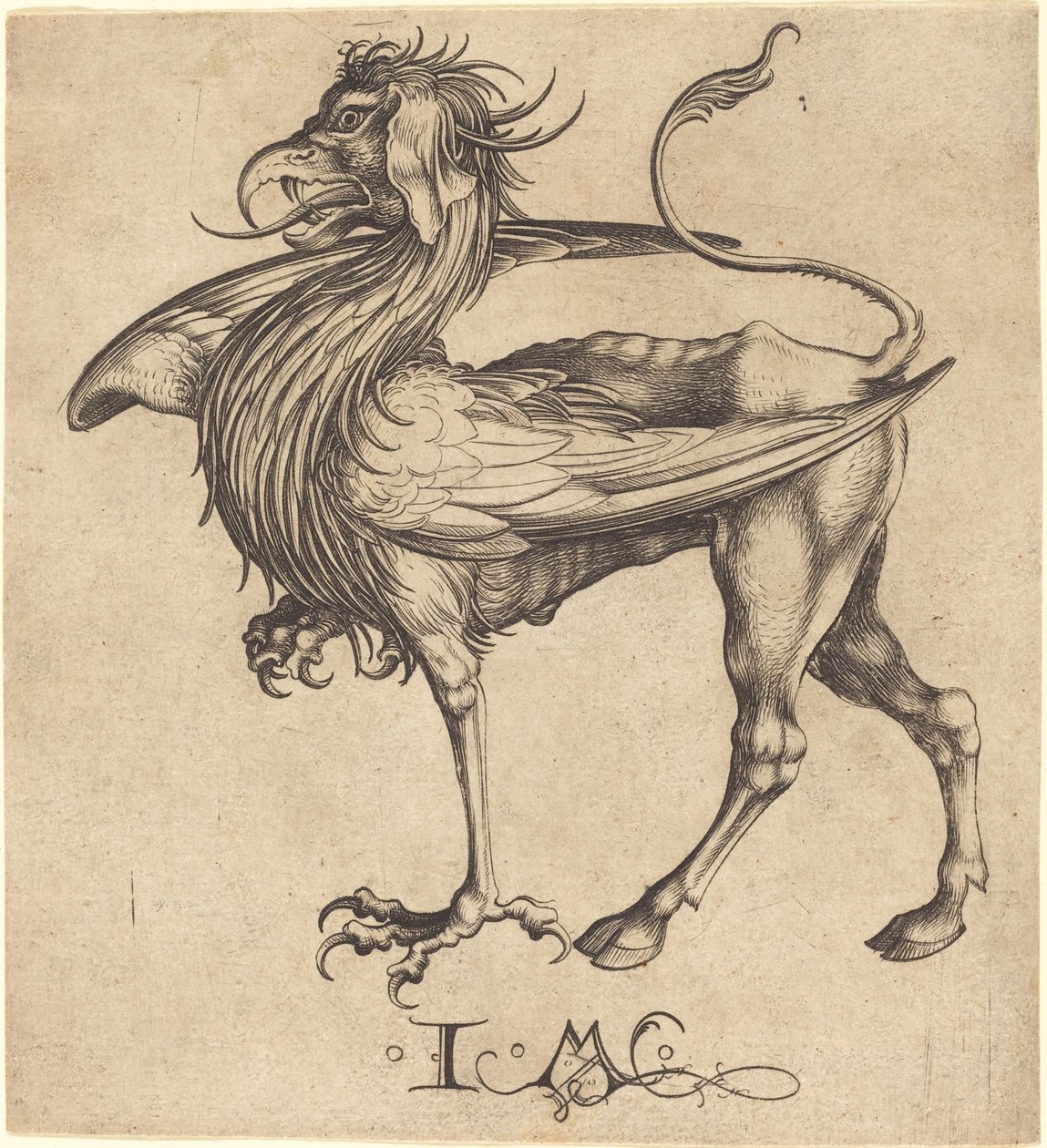 Griffin. od Israhel van Meckenem