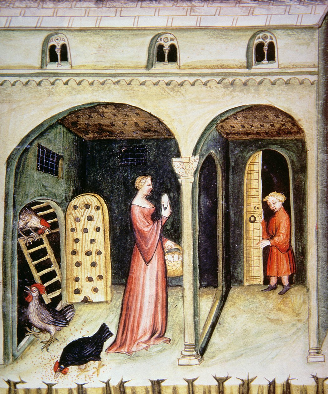 Fol.65v Chov slepic, ilustrace z Tacuinum Santiatis Codex Vindobonensis od Italian School