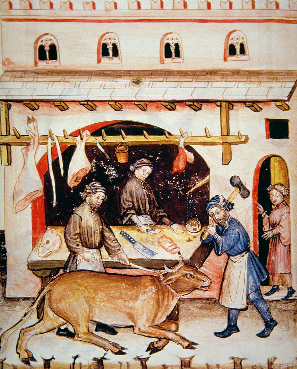 Fol.73v The Butchers: Telecí, ilustrace z Tacuinum Santiatis Codex Vindobonensis od Italian School