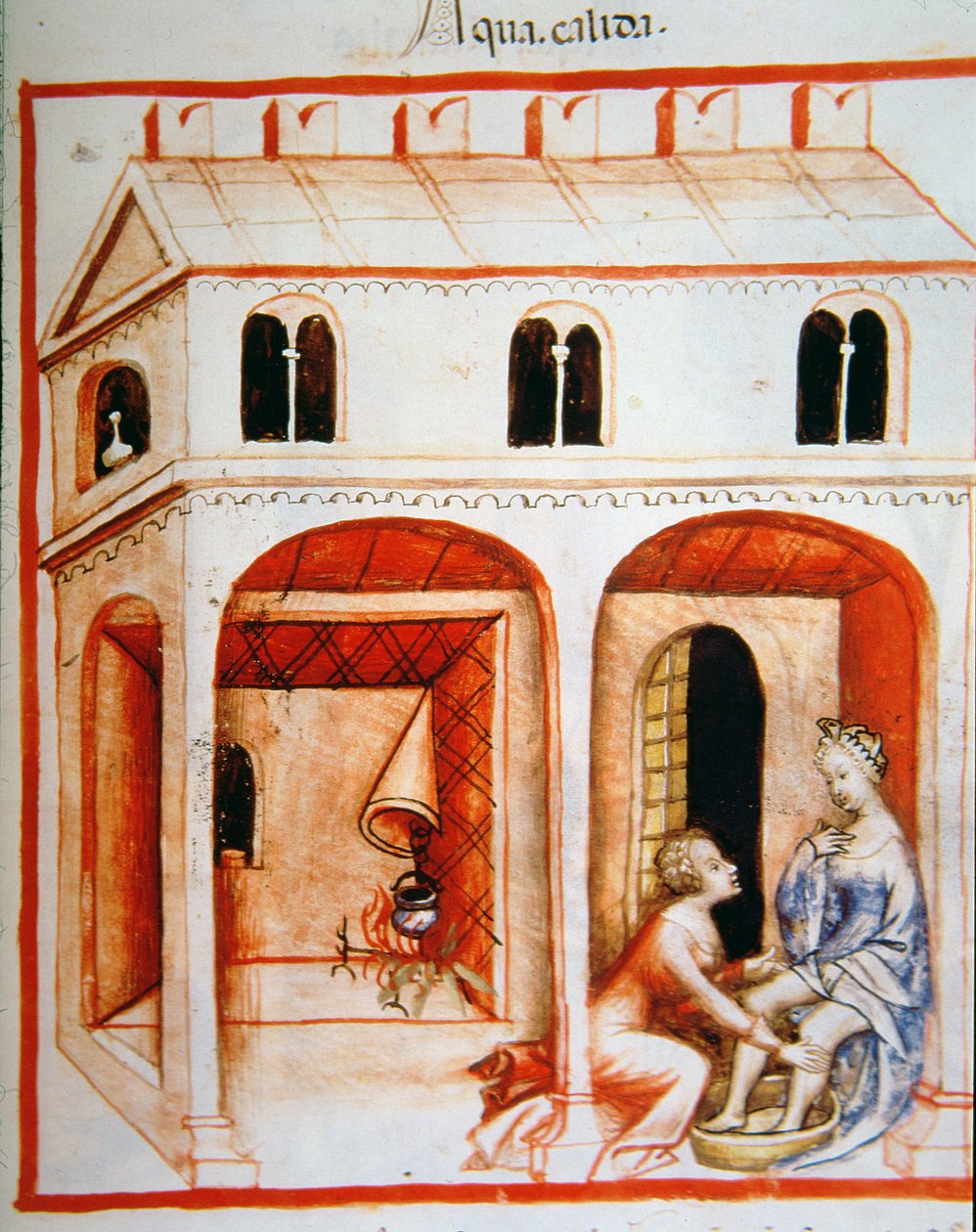 Fol.89r Horká voda, ilustrace z Tacuinum Santiatis Codex Vindobonensis od Italian School