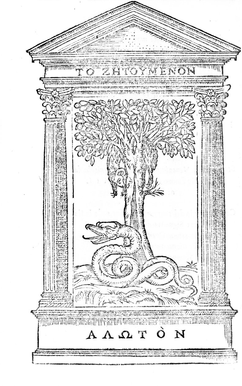 Ilustrace z 