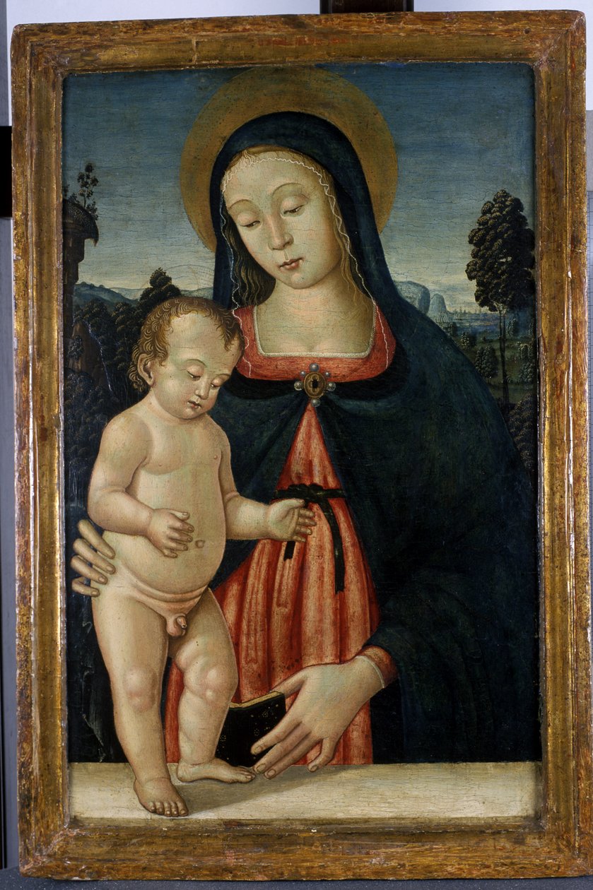 Madonna a dítě, cca 1500 (tempera na topolovém dřevě) od Italian School