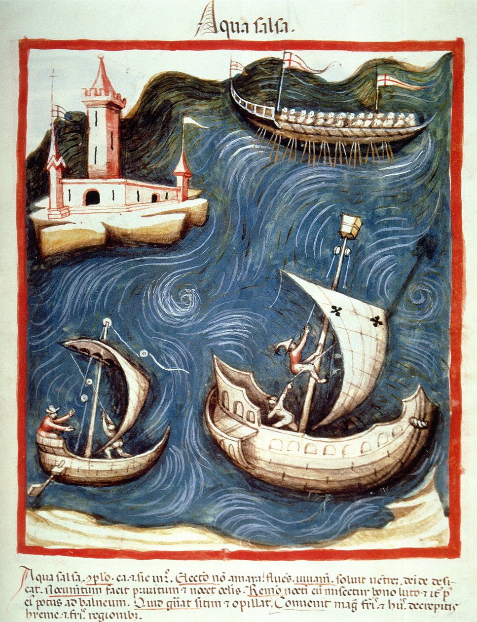Nova 2644 f.88r Lodě na moři, ilustrace z Tacuinum Santiatis Codex Vindobonensis od Italian School