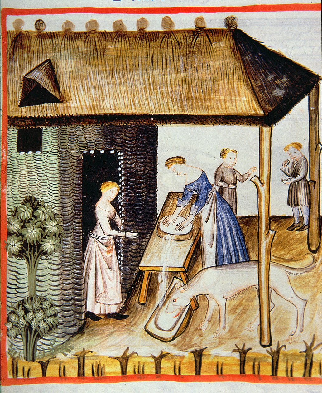 Nova 2644 fol.60r Příprava čerstvého sýra, z Tacuinum Sanitatis od Italian School