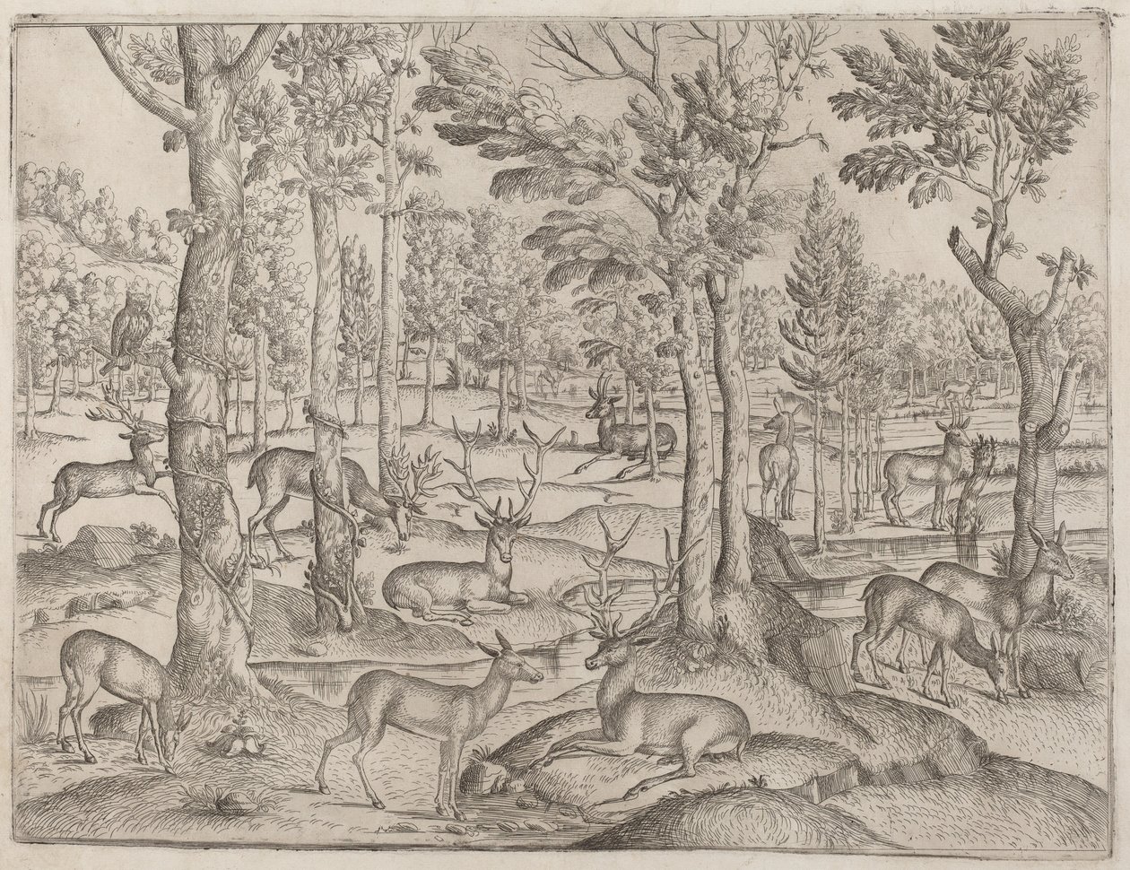 Jelen v lese od Italian 16th Century