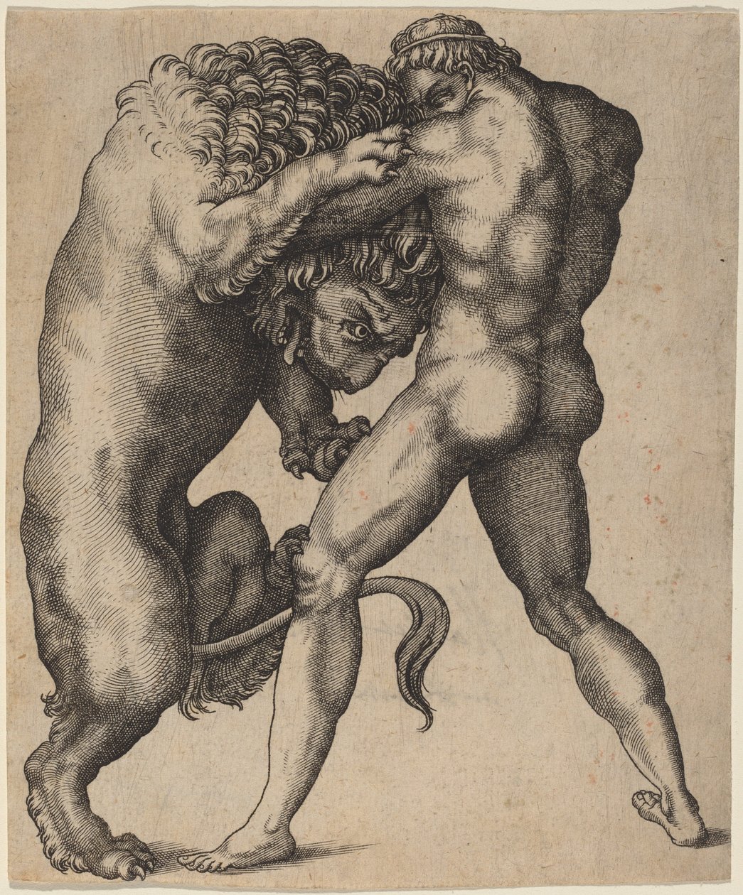Herkules a Nemejský lev od Italian 16th Century