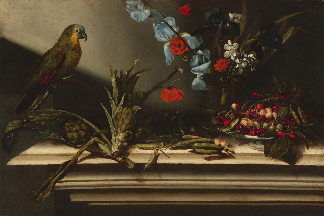 Zátiší s artyčoky a papouškem od Italian 17th Century