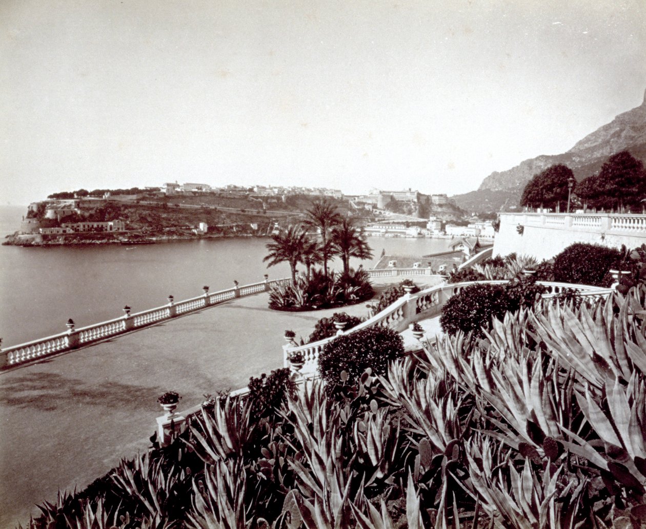 Panorama Montecarlo. V popředí hustá vegetace rostlin agáve a kaktusů od Italian Photographer