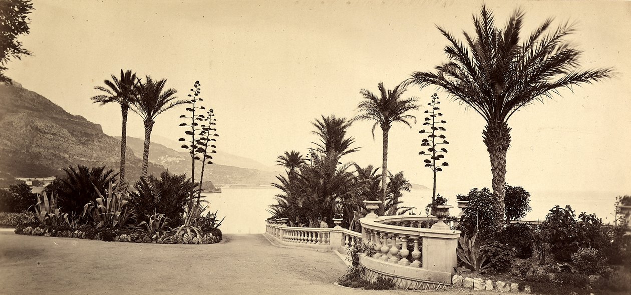 Zahrada kasina Monte Carlo, v Monackém knížectví od Italian Photographer