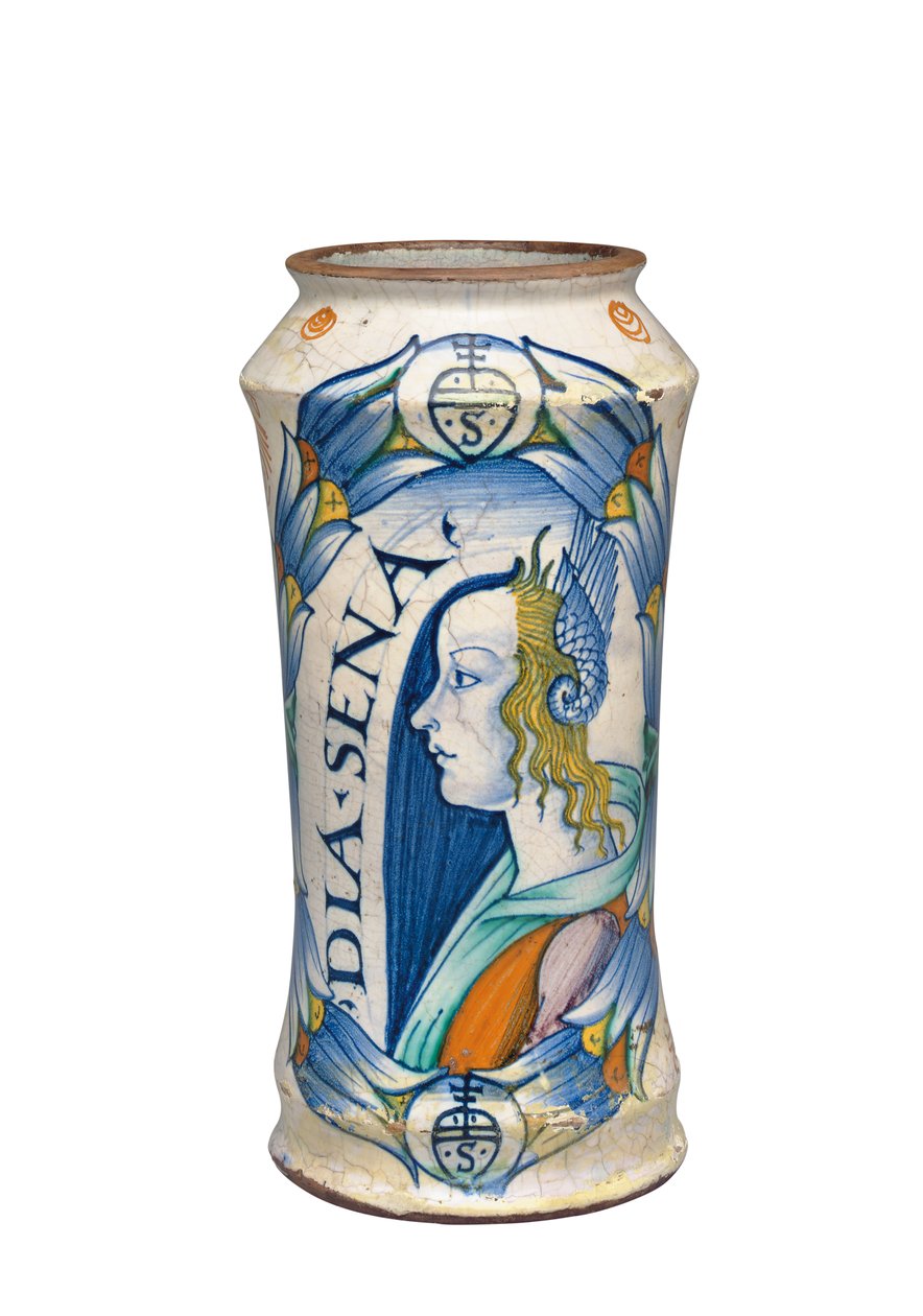 V Deruta Maiolica "Bella Donna" Albarello, kolem 1510-20 od Italian School