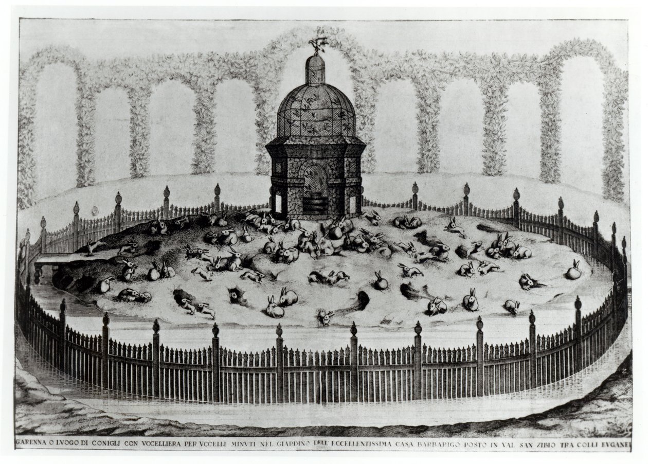 Králík s voliérou pro malé ptactvo, od Le Fabbriche e i Giardini dellEcc. Casa Barbariga, D. Rossetti, ryl G. Campana, vydáno 1702 od Italian School