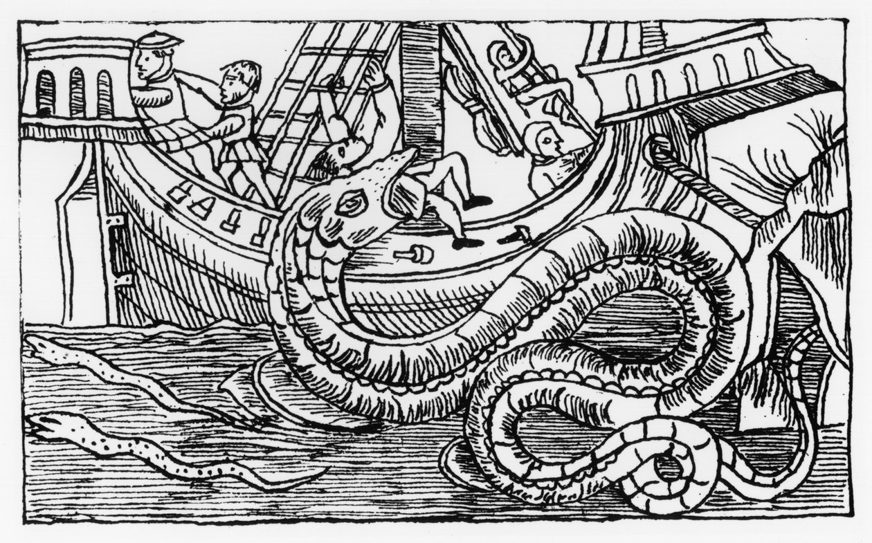 Mořský had, z „Historie severních národů“ od Olause Magnuse (1490-1557), vydané v Římě, 1555 od Italian School