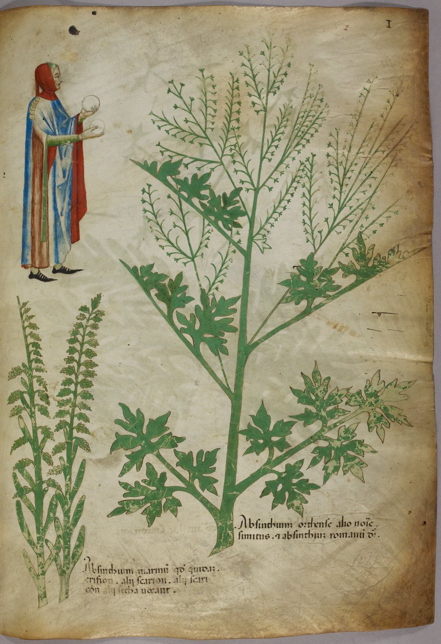 Postava v taláru držící v každé ruce bílý glóbus; rostliny, asi 1440 (tuš a barva na pergamenu) od Italian School