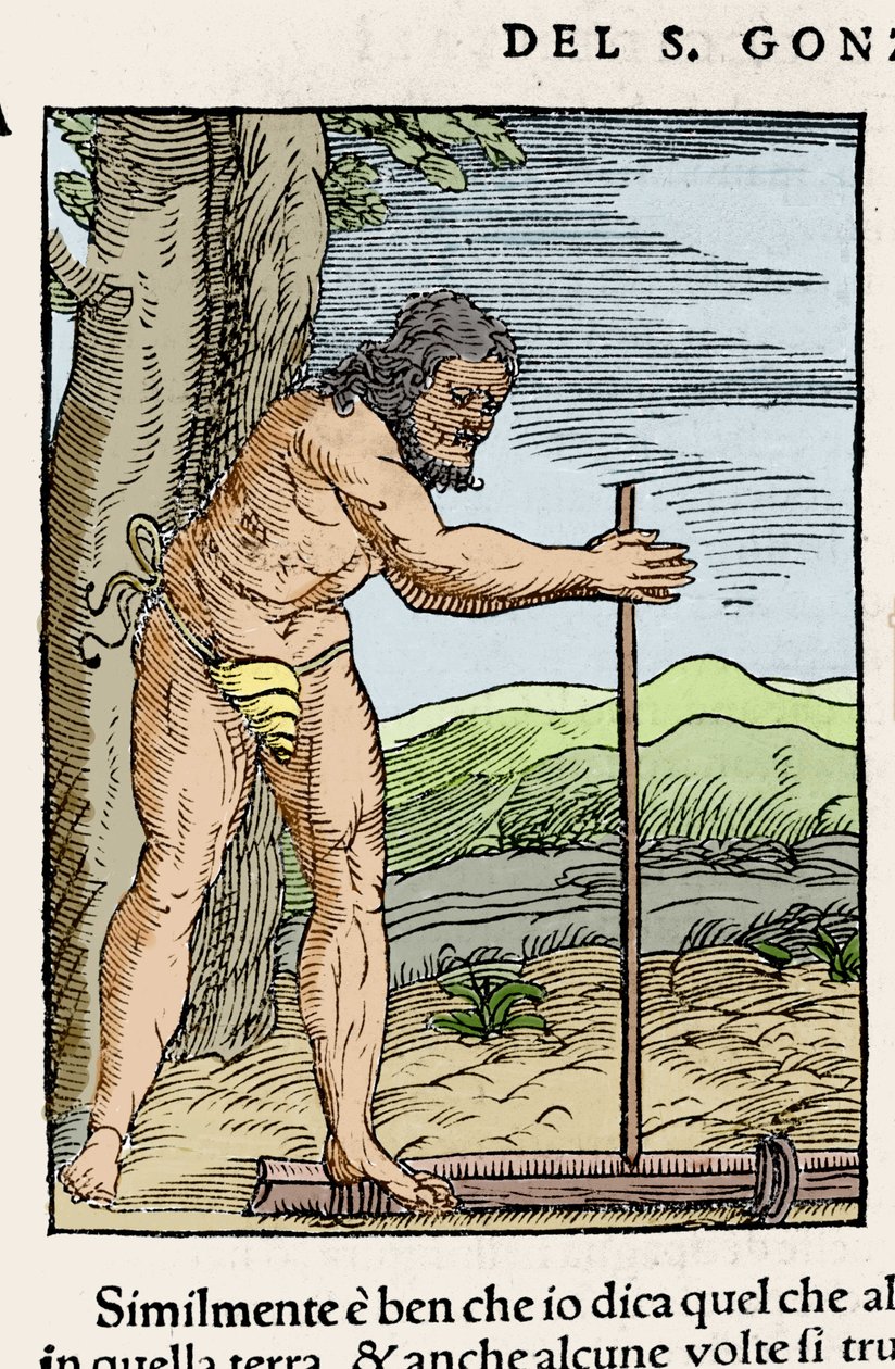 Domorodý muž zapalující oheň třením dvou kusů dřeva. Rytina z „“ Navigationi and Viaggi““ od Giovanniho Battisty Ramusia (1485-1557), sv. III, Benátky 1565. od Italian School