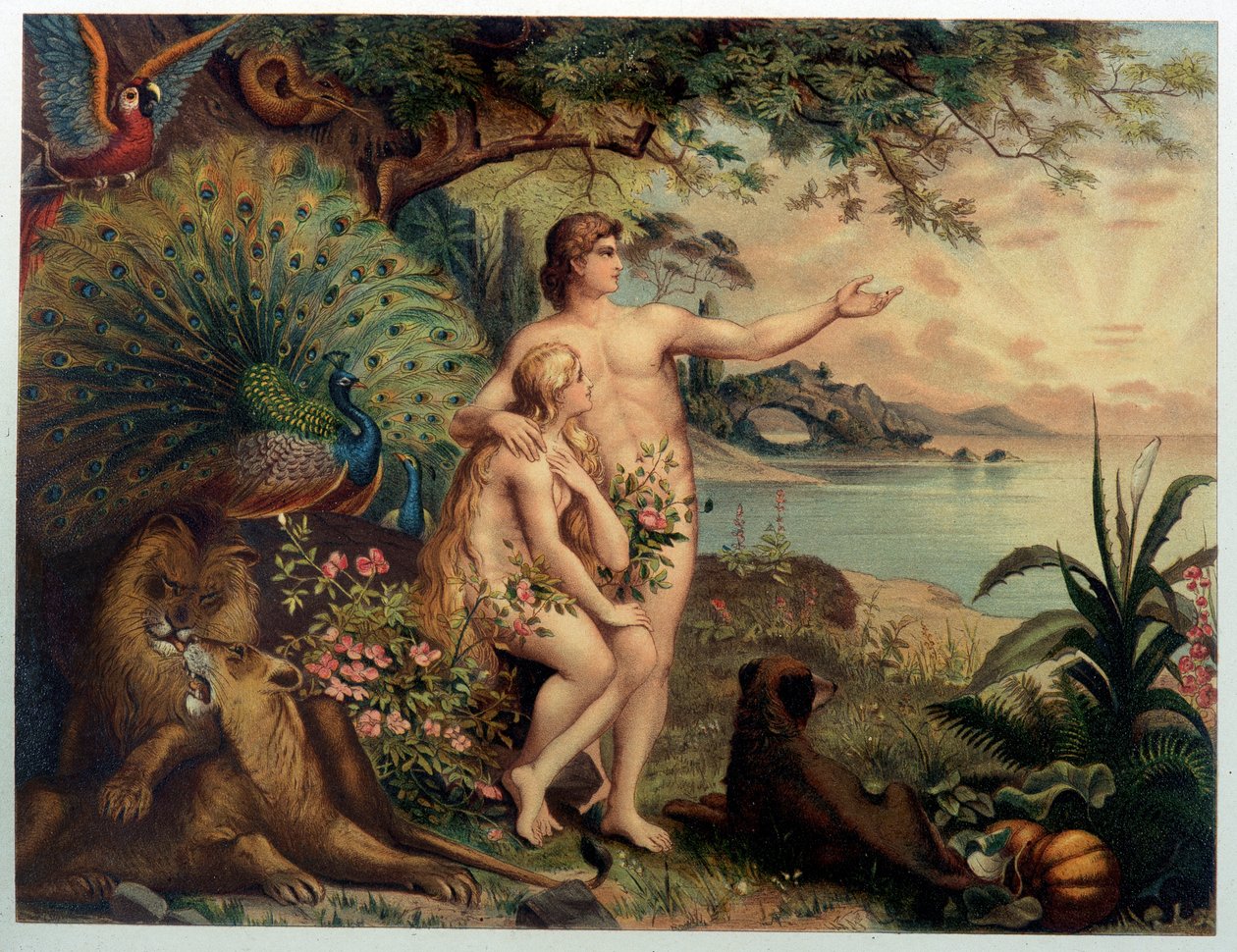 Adam a Eva v ráji pozemském (Eden) - v „“ Zlaté klasické Bibli: Historie Božího zjevení ve starověkém a novém úsilí ““ ” od Giovanniho Ladislao Sykory (sv. 1), přeložil Don Clemente Benetti. (italská bible) od Italian School