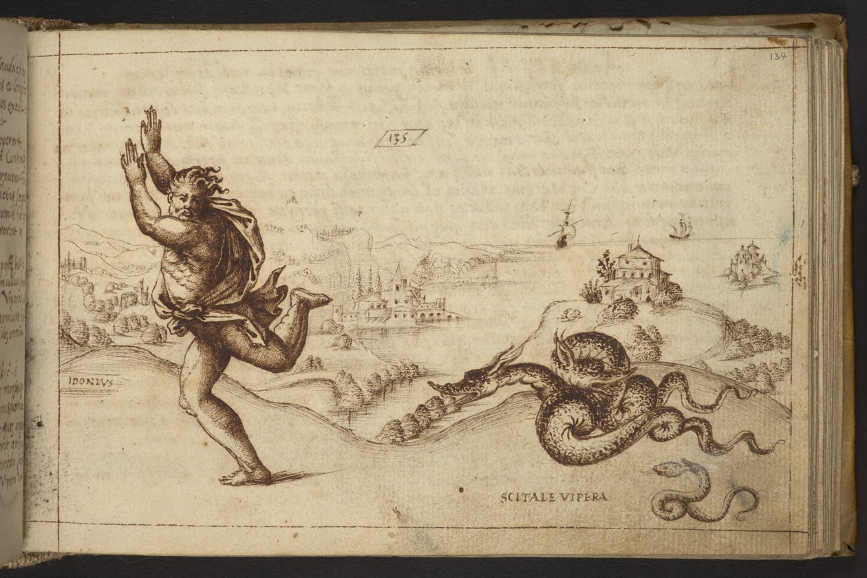 Přidat. 82955, f.134 Lidská postava pronásledovaná hady., z Historia Animalium od Italian School