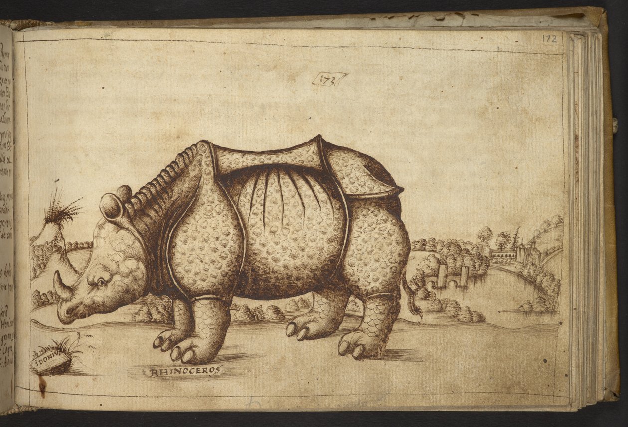 Přidat. 82955, f.172 Rhinocerous., z Historia Animalium od Italian School