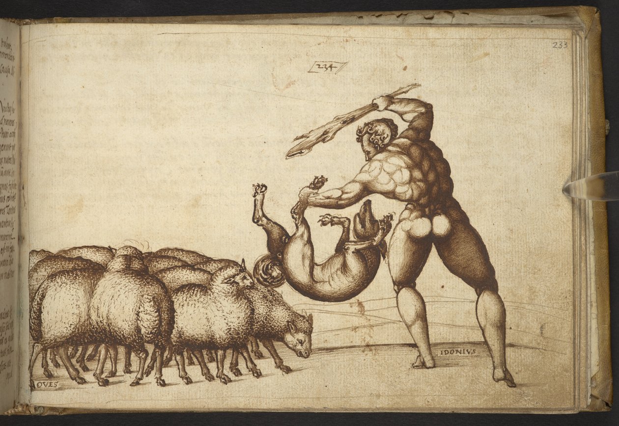 Přidat. 82955, f.233 Ovce (