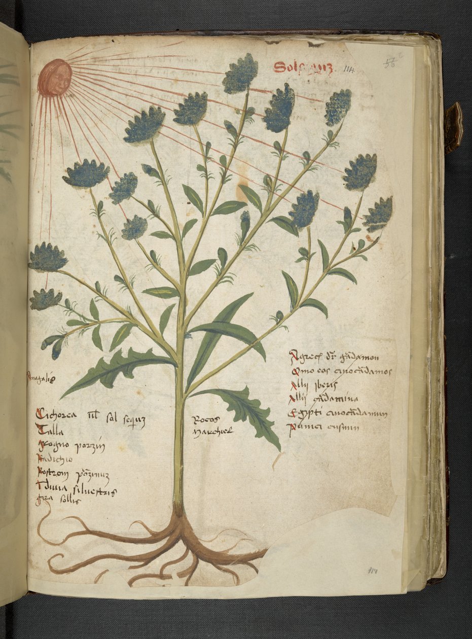 Přidejte MS 41623 f.114r 