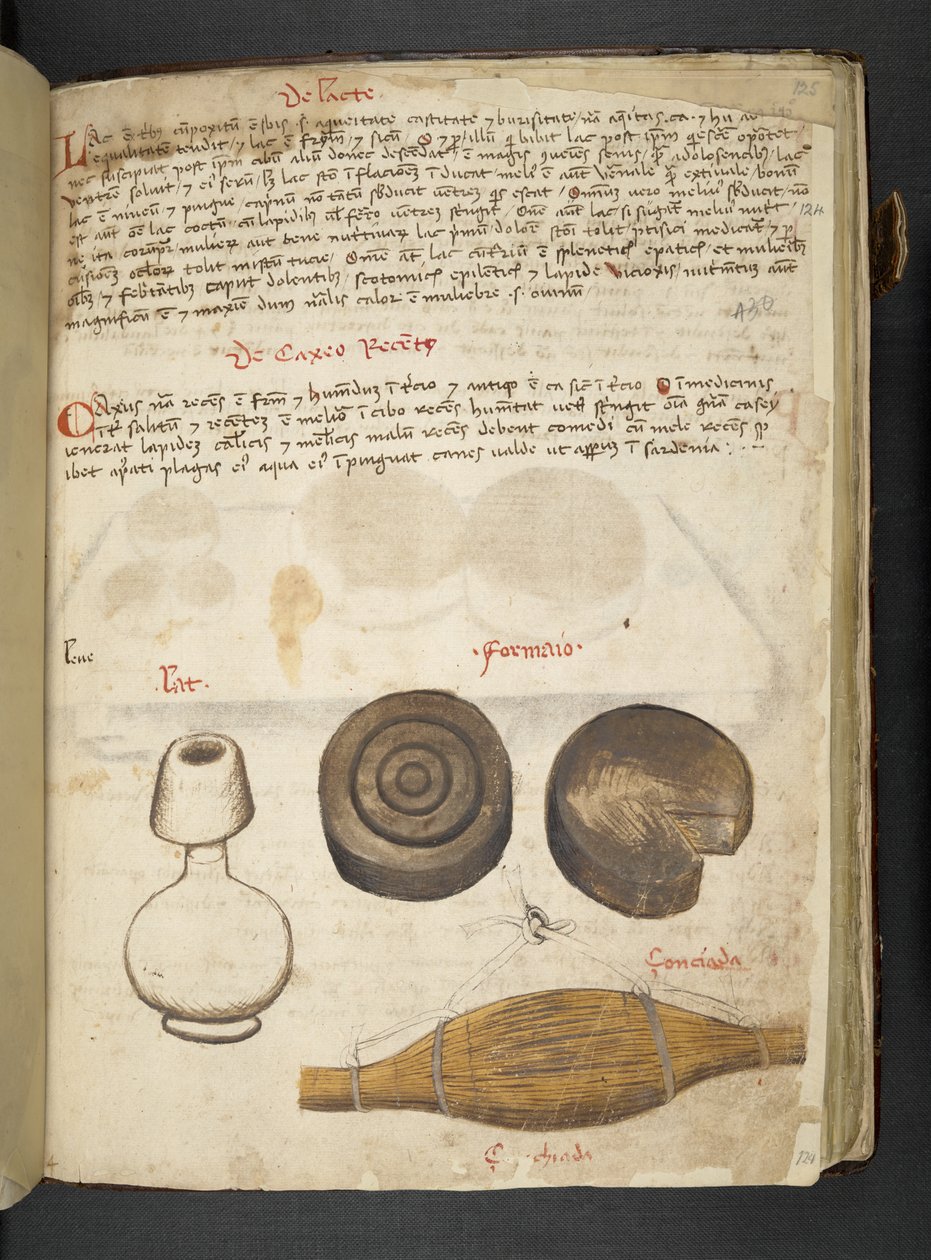 Přidejte MS 41623 f.124r 