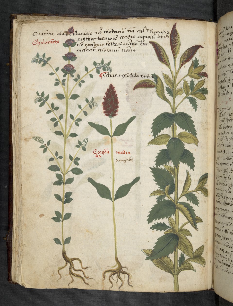 Přidejte MS 41623 f.30v 