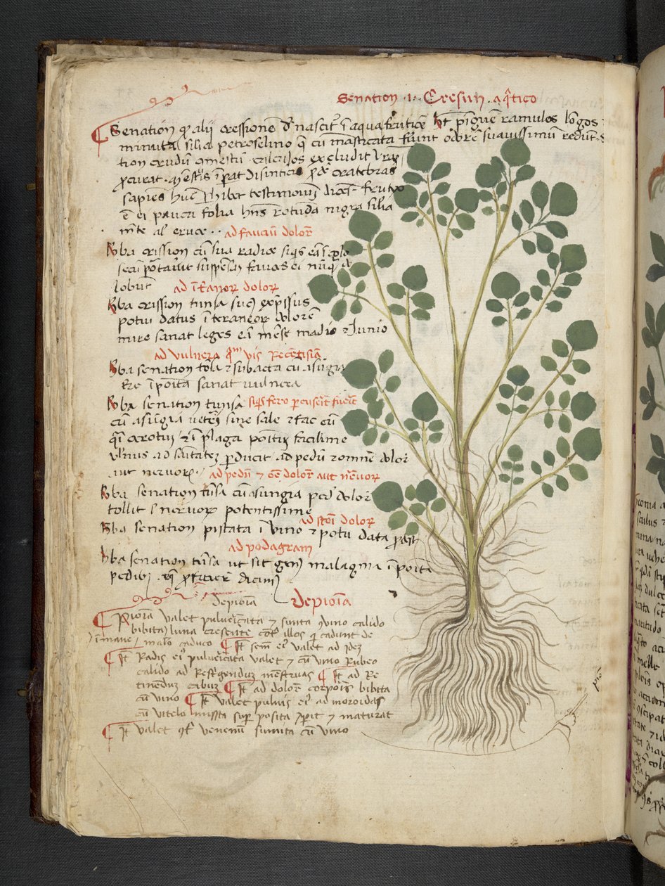Přidejte MS 41623 f.32v 
