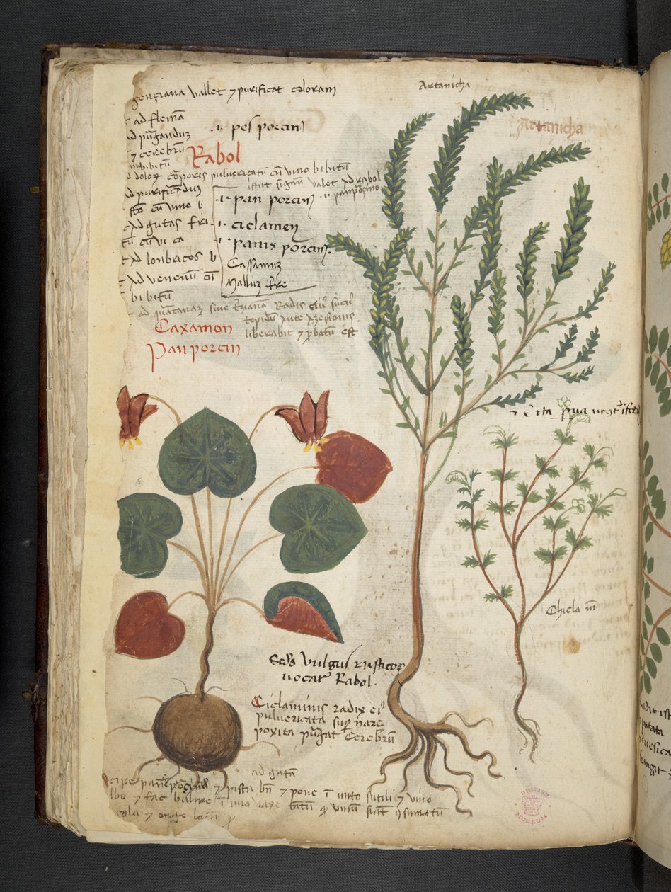 Přidejte MS 41623 f.40v 