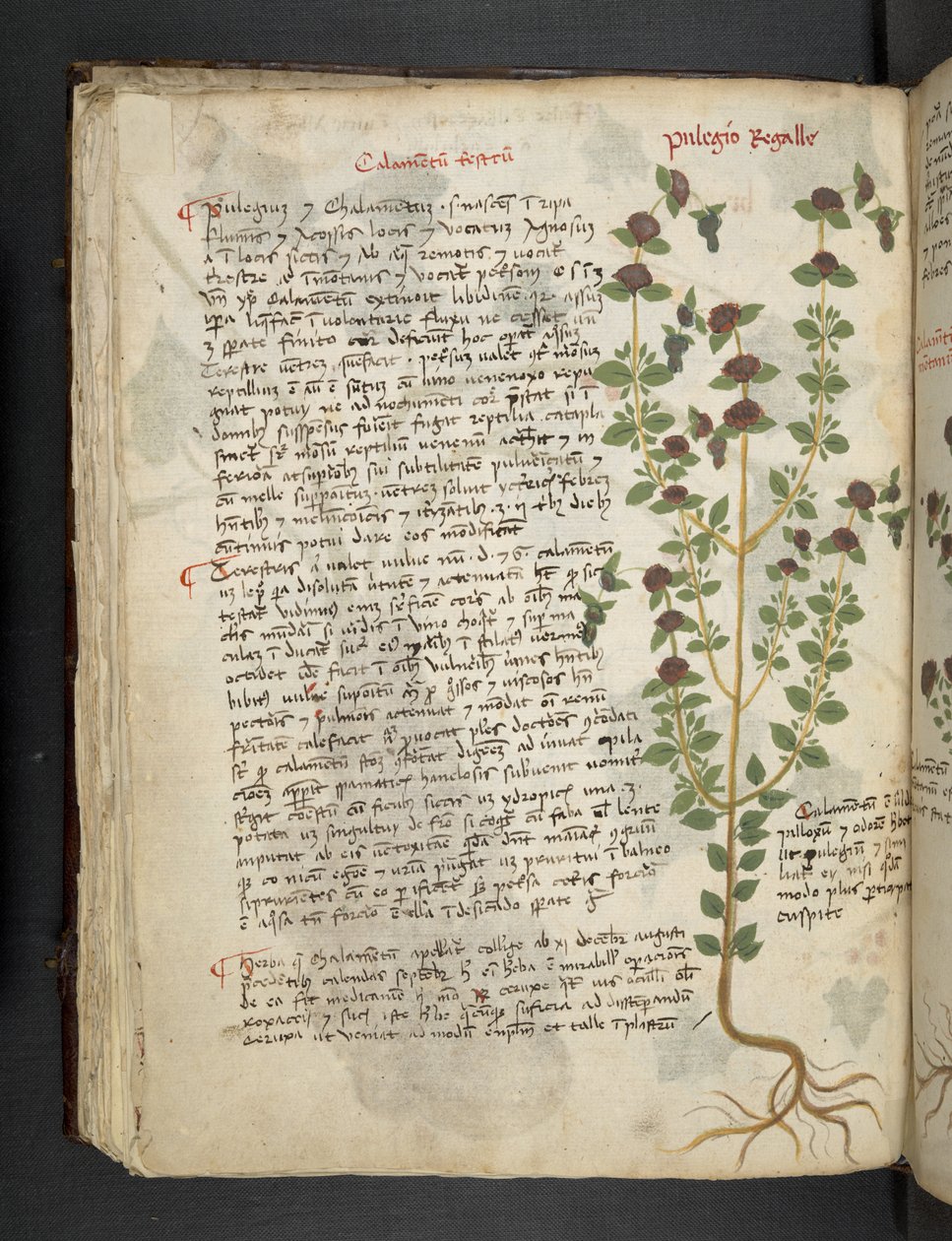 Přidejte MS 41623 f.54v 