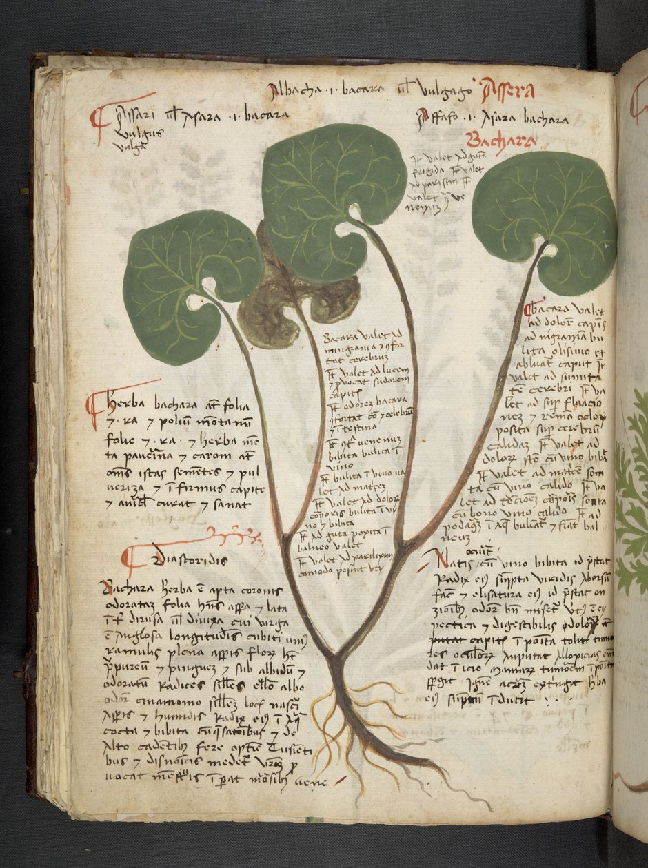 Přidejte MS 41623 f.60v 