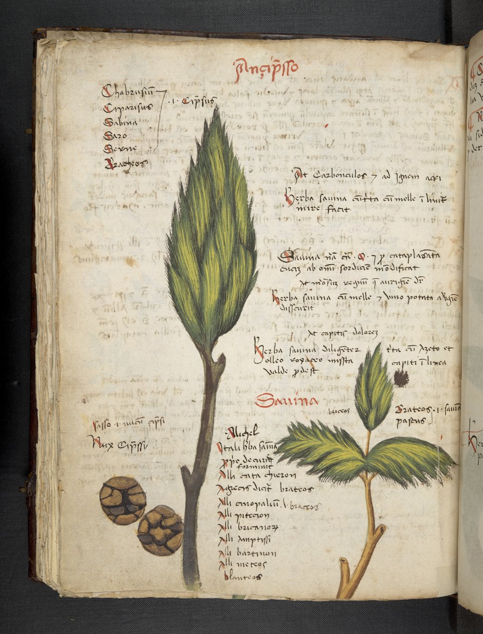 Přidejte MS 41623 f.62v 