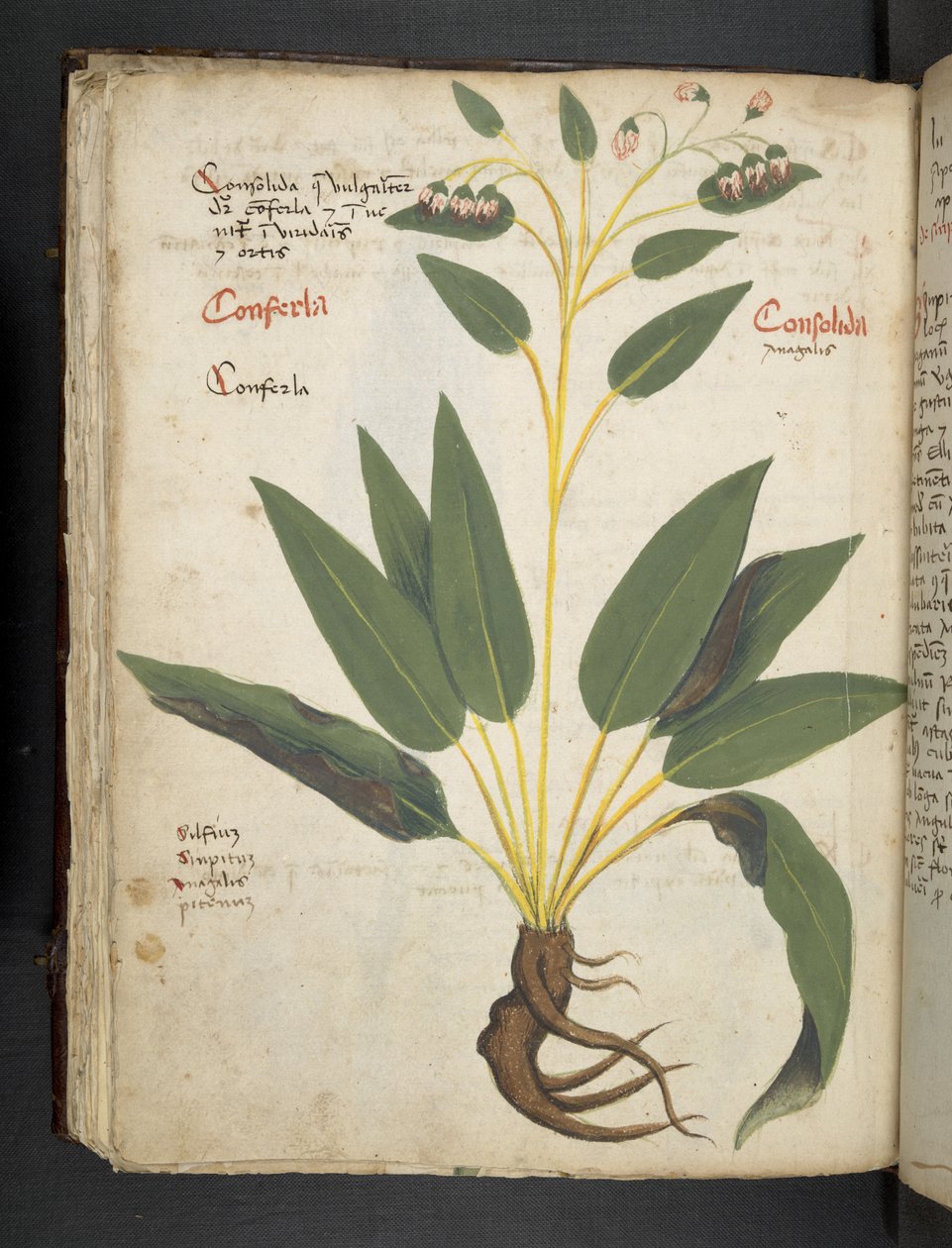 Přidejte MS 41623 f.63v 