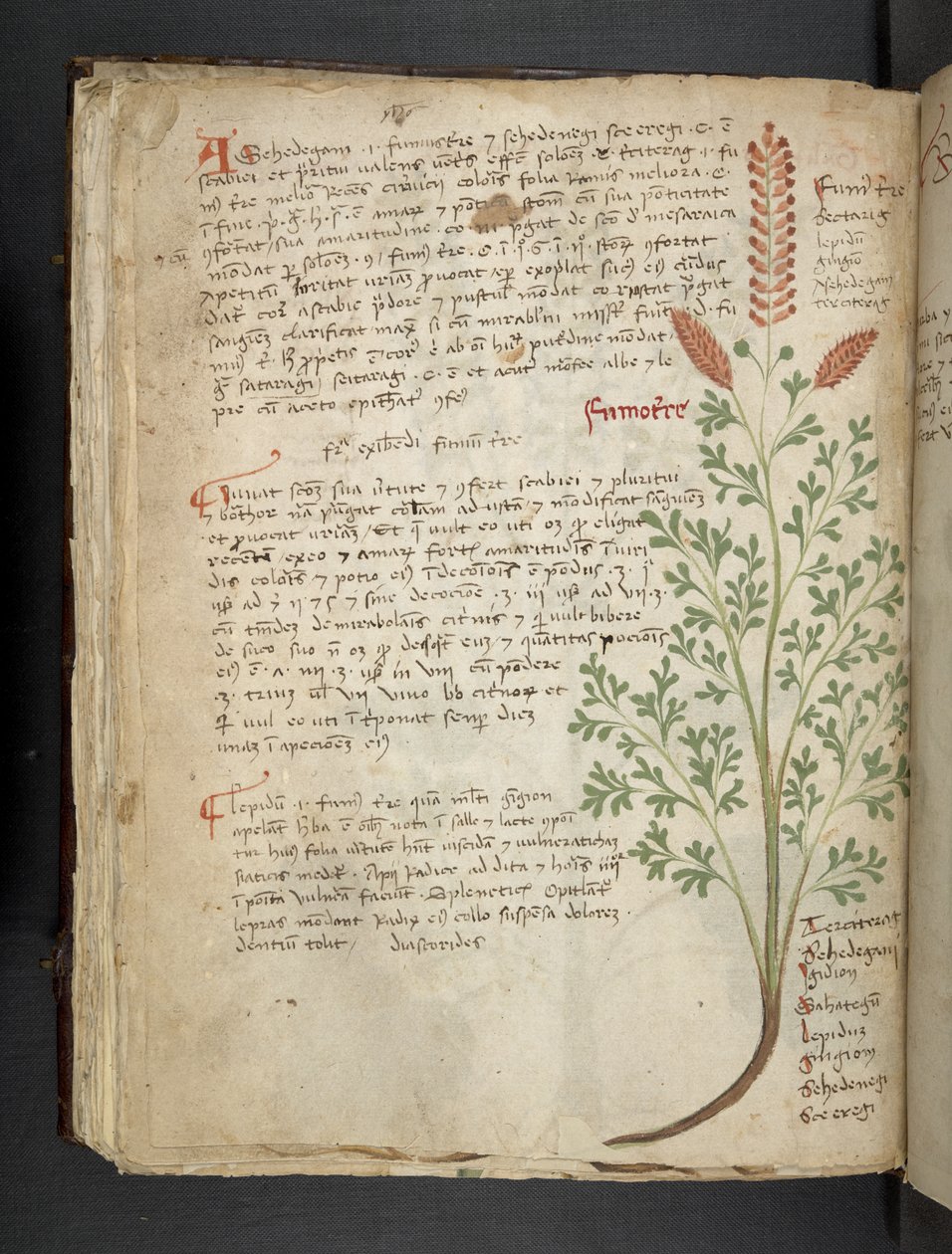 Přidejte MS 41623 f.65v 