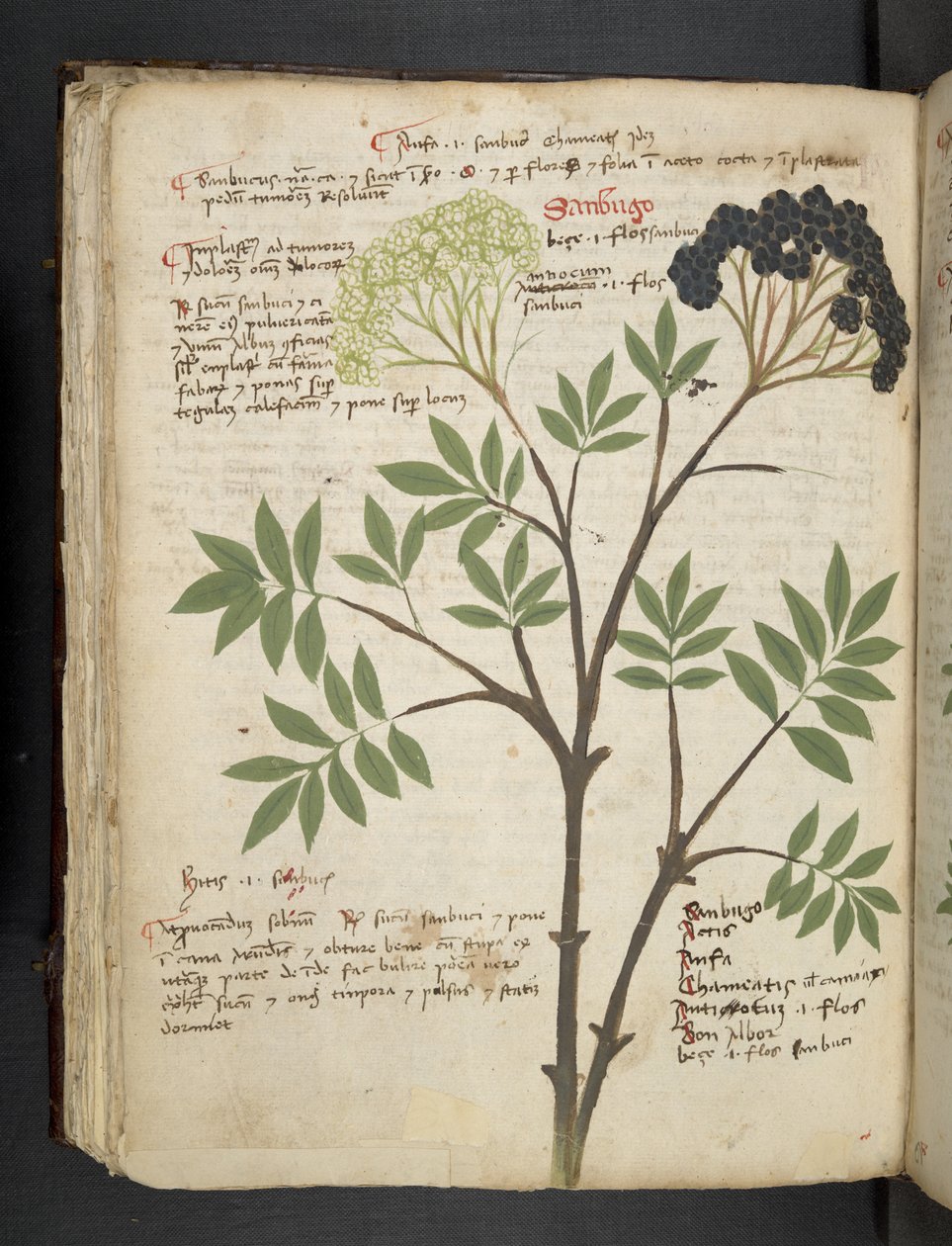 Přidejte MS 41623 f.72v 