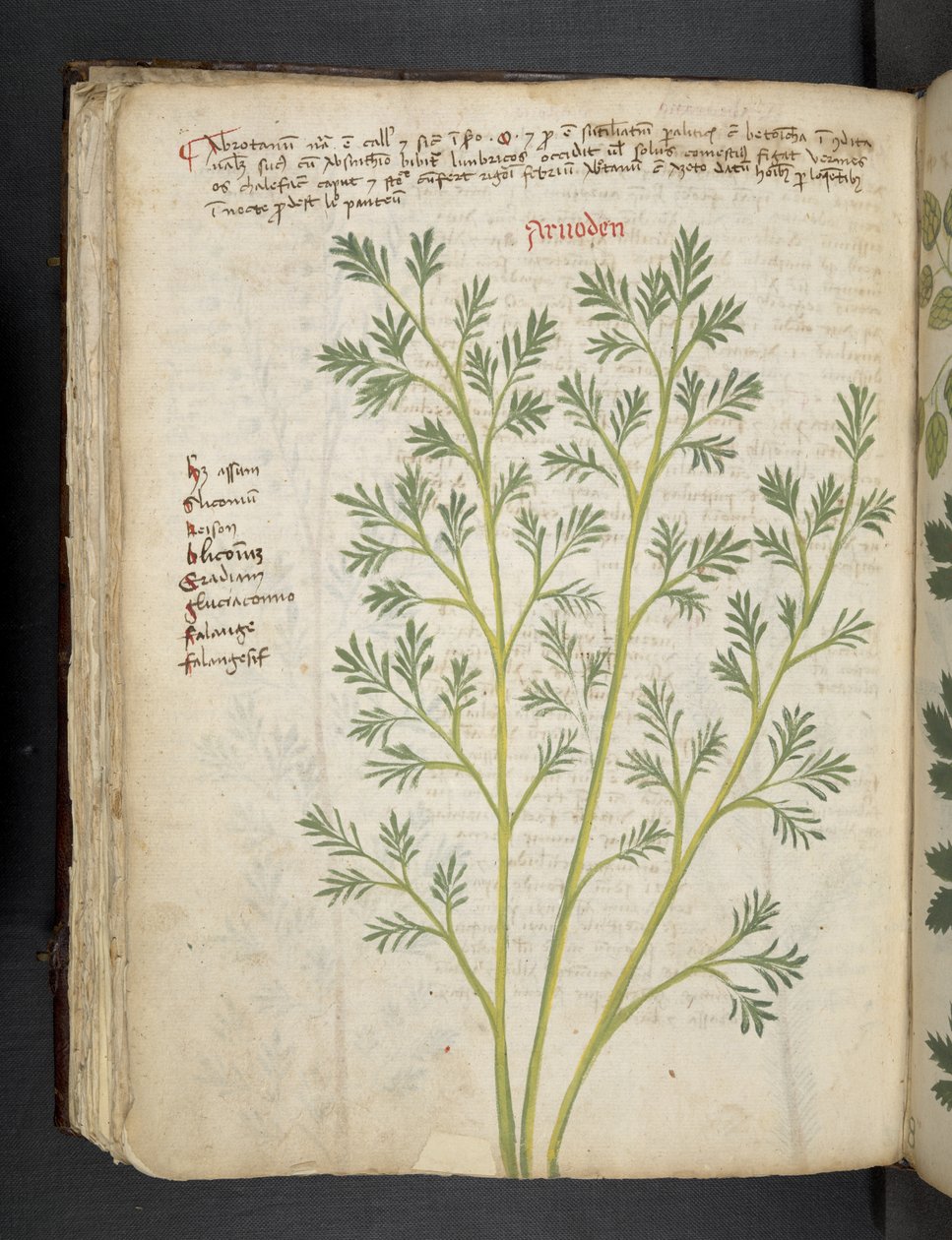 Přidejte MS 41623 f.74v 