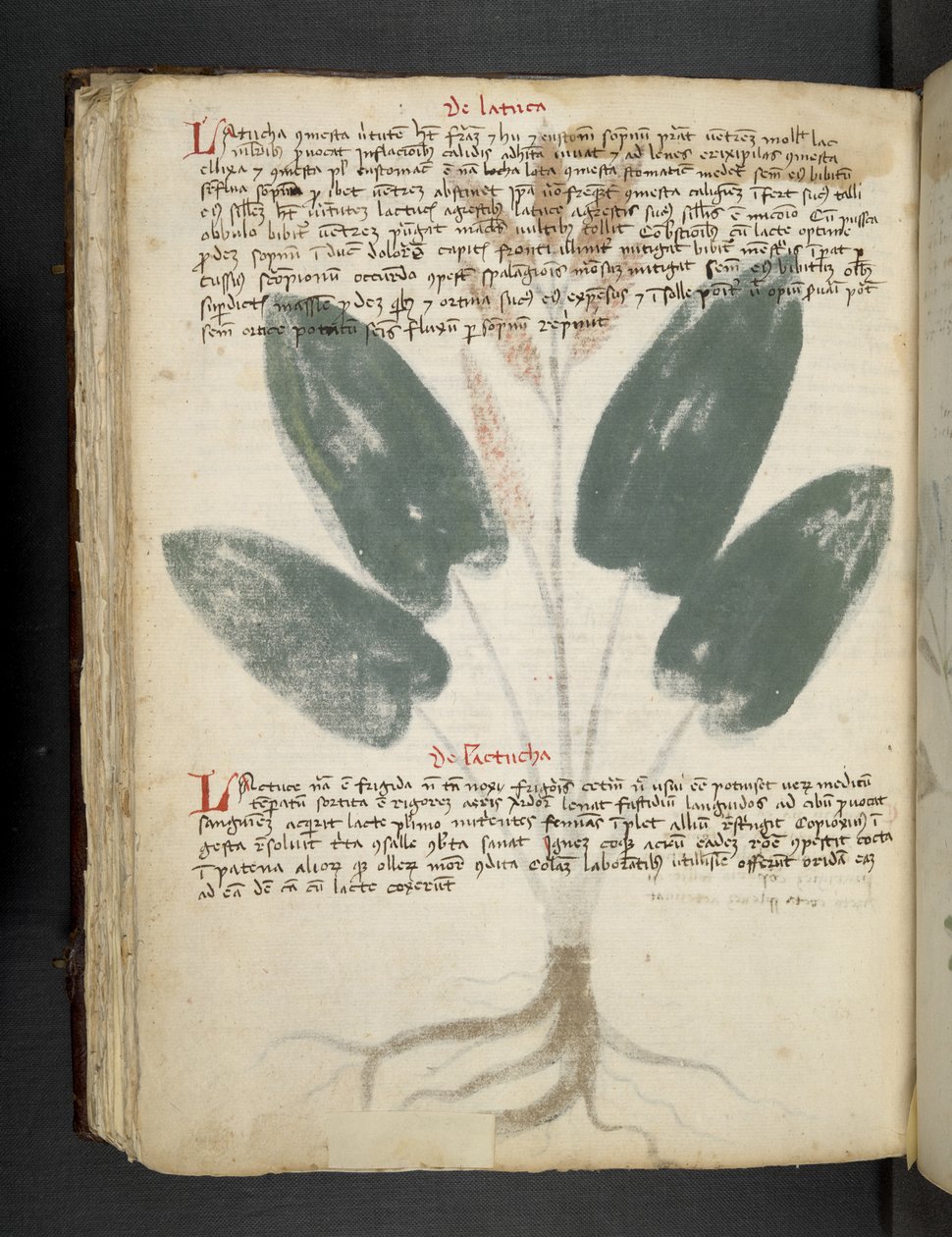 Přidejte MS 41623 f.80v 