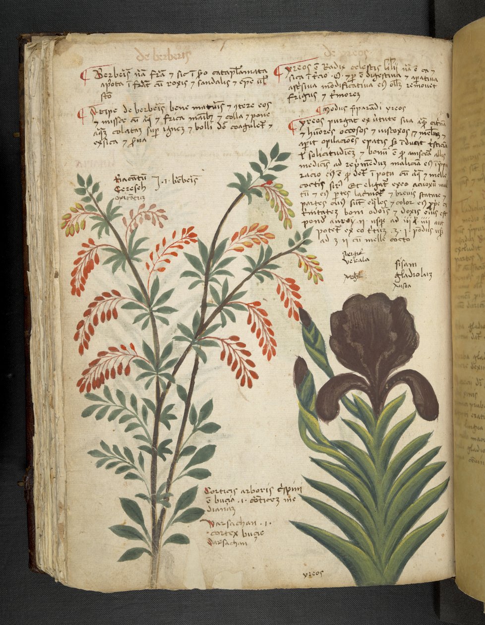 Přidejte MS 41623 f.89v 