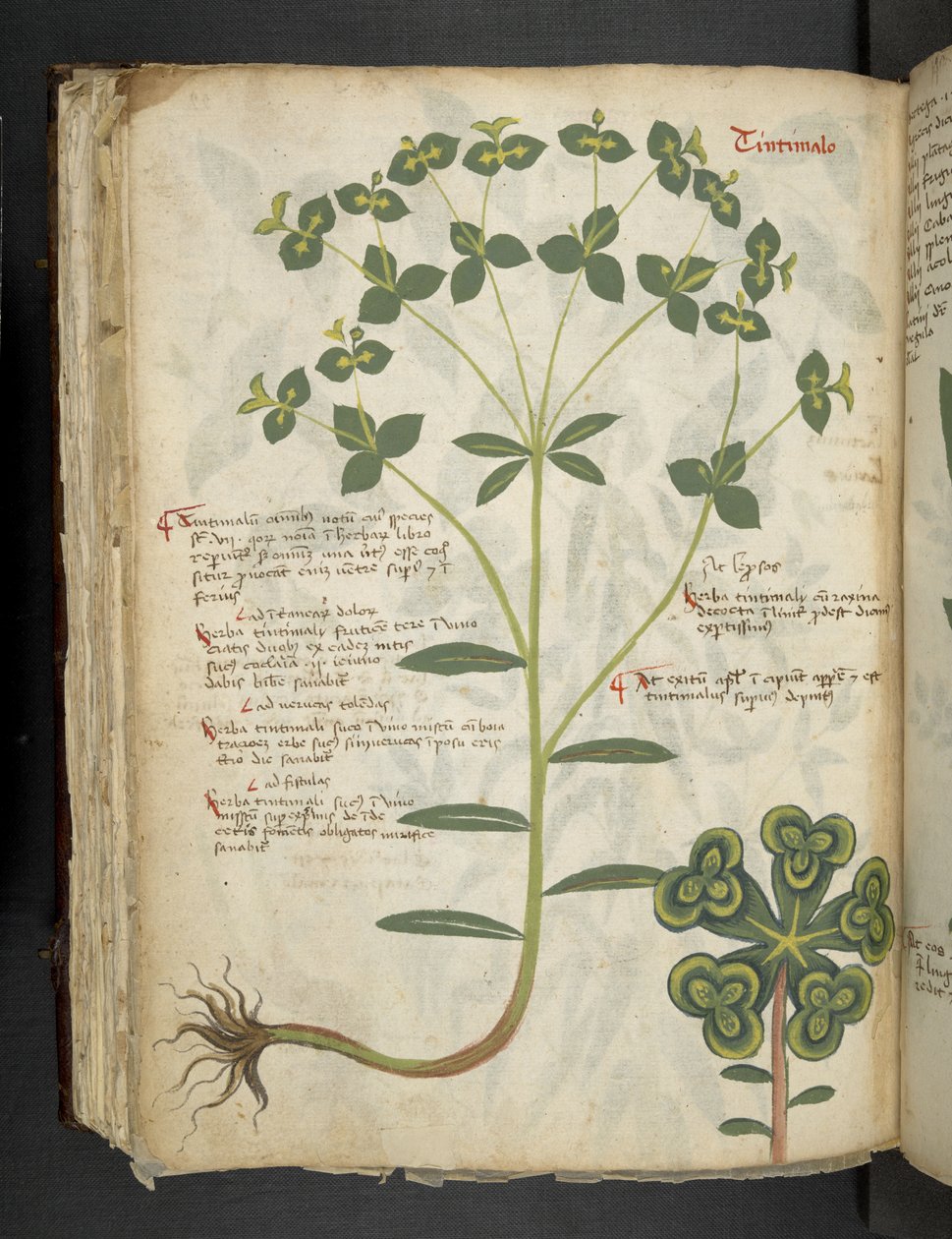 Přidejte MS 41623 f.94v 
