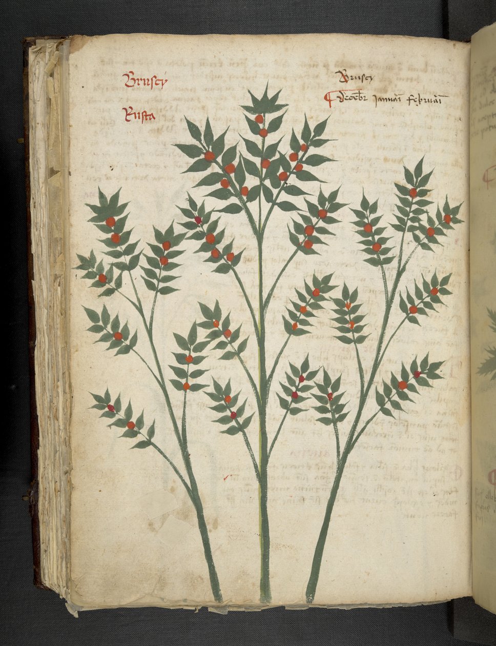 Přidejte MS 41623 f.99v 