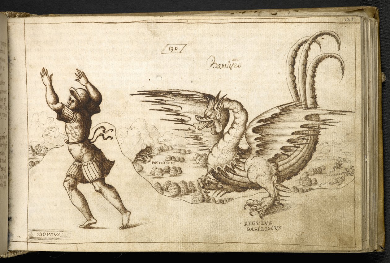 Přidat MS 82955 f.129r Dragon z 