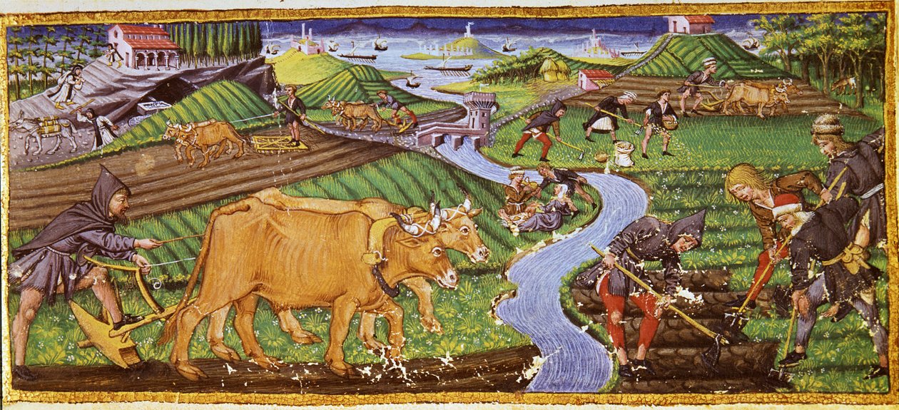 Zemědělství na počátku 15. století. Biblioteca Riccardiana, Florencie. od Italian School