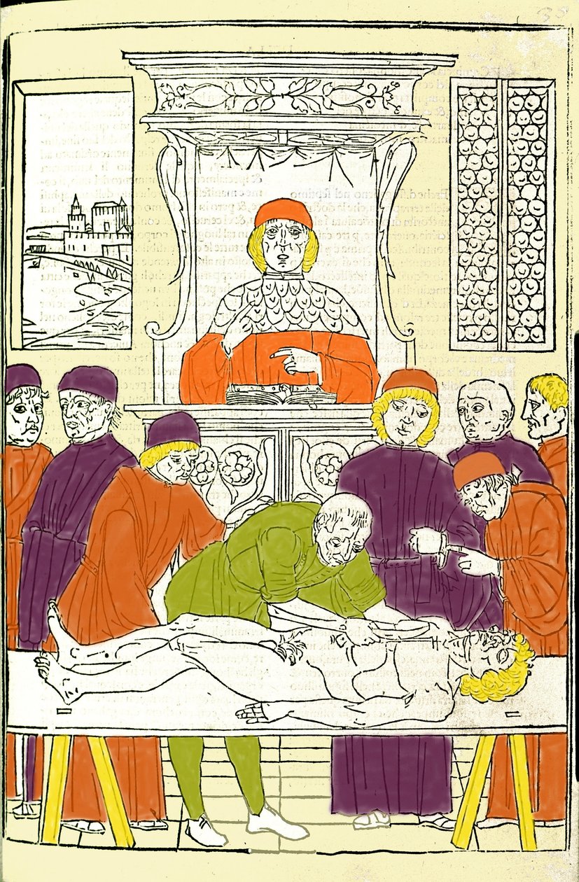Anatomická pitva. Rytina z léku od Gerolama Cardana (Cardano) (Cardanus Hieronymus), Florencie od Italian School