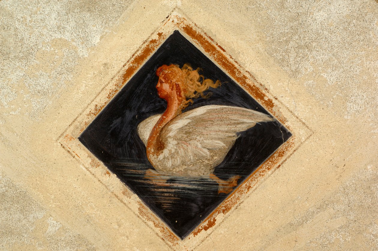 Antropomorfní labuť, freska, palác Ternengo Gromo (16. století), středověká čtvrť v Piazzo, Biella, Piemont, Itálie od Italian School