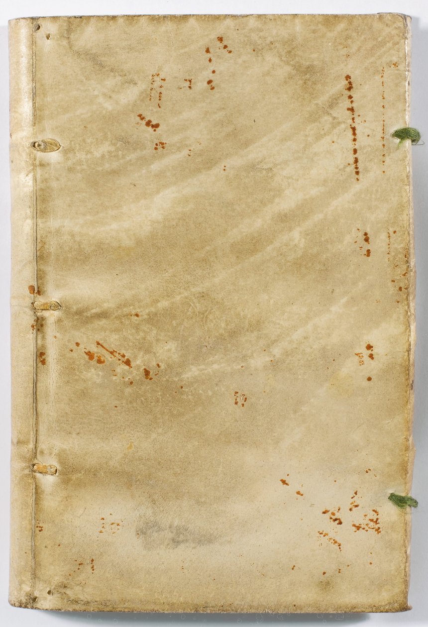 Vazba 