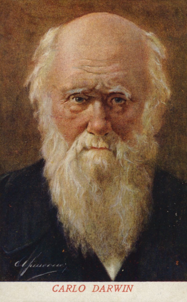 Charles Darwin (1809-1882), anglický přírodovědec (barevná litografie) od Italian School
