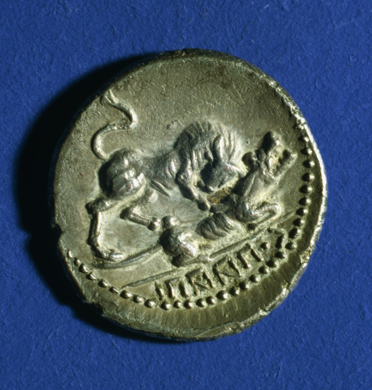 Mince Italic Tribes zobrazující býka útočícího na římskou vlčici, 89–90 př. n. l. (stříbrná) od Italian School