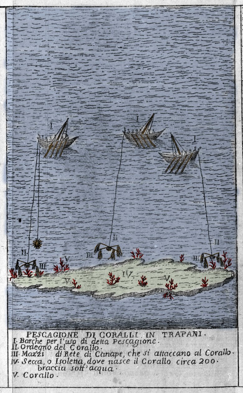 Lov korálů v zálivu Trapani na Sicílii, reprezentace malých podmořských ostrůvků, kde se tvoří korálové sudy. Rytina z ""Stato Presente della Sicilia"" od Arcangela Leanti, Palermo 1761 od Italian School