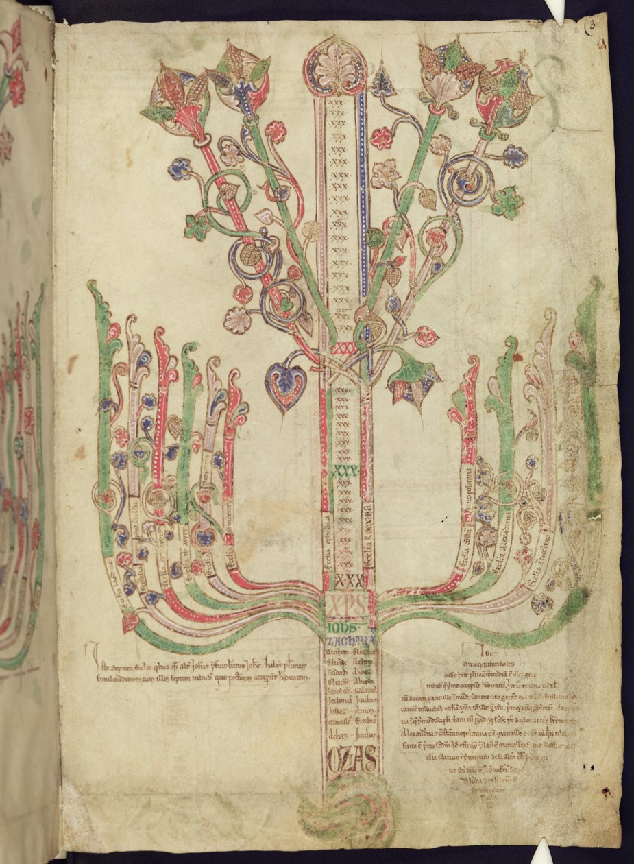 Corpus Christi Oxford MS 255A f.11r Strom zobrazující genealogii biblických postav v Novém zákoně od Italian School