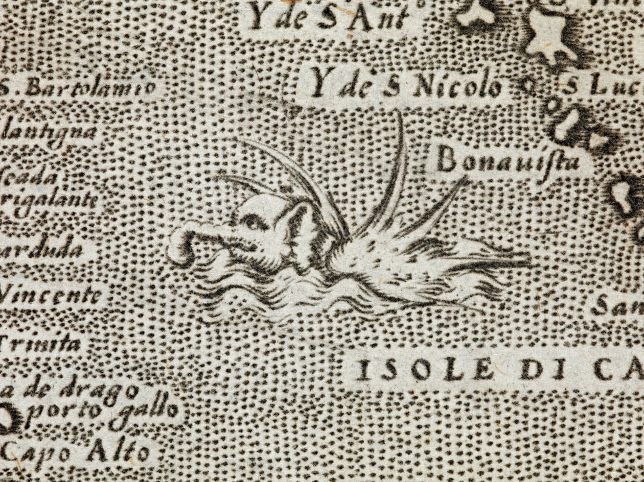 Detail mořského slona s působivou řadou hrotů vyčnívajících z jeho hřbetu, z „Nejslavnějšího ostrova na světě, který popsal Thomaso Porcacchi z Castiglione, Arretino a vyřezal Girolamo Porro, Padovano“ od Italian School