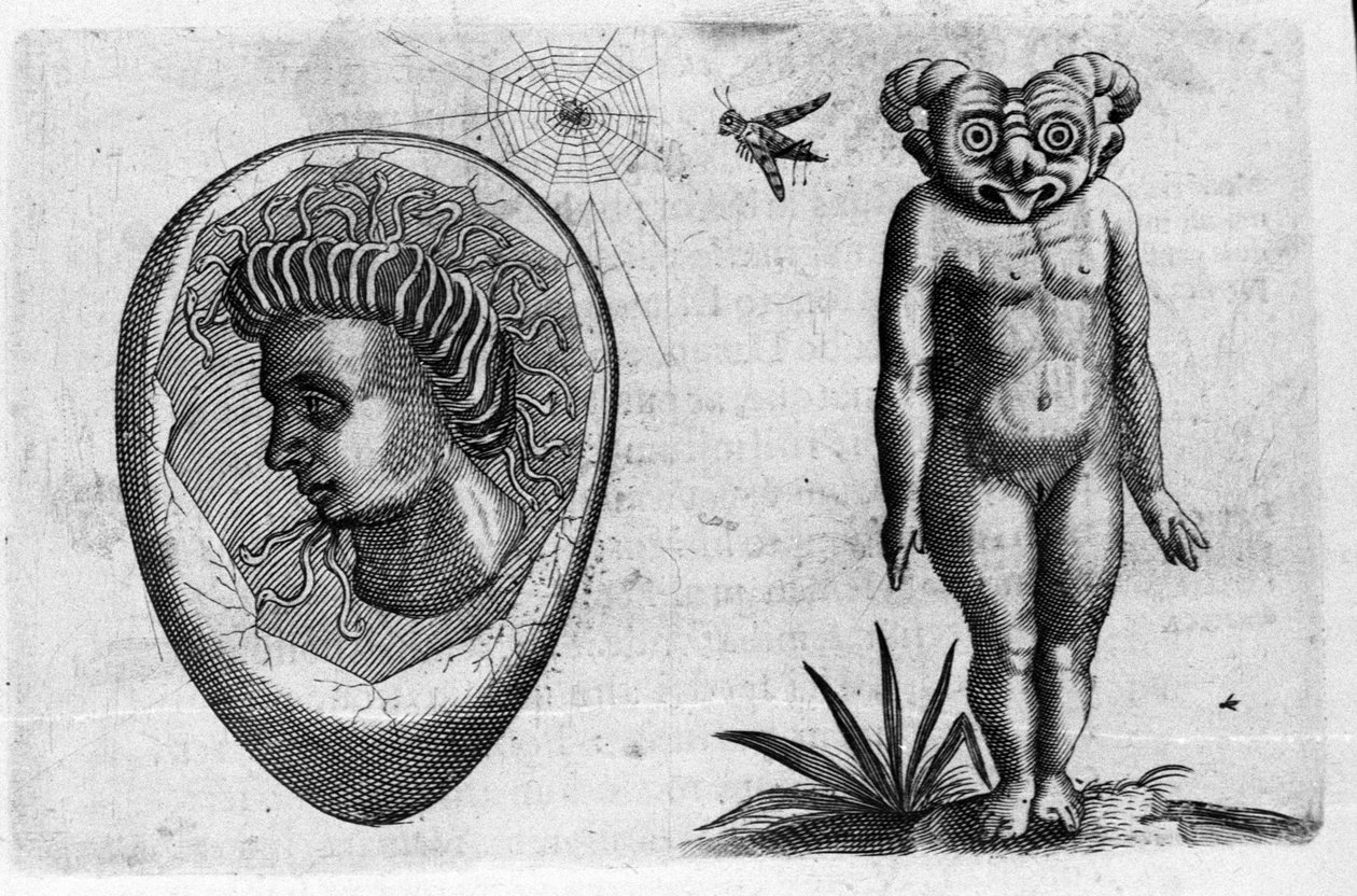Různé typy lidských monster: fosilní muž a monstrum. Rytina z "Povaha příšer, jejich příčiny a rozdíly" od Fortunia Ačkoliiho (1577-1656), italského vědce. 1646 od Italian School